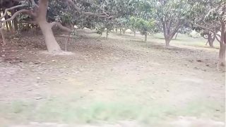 Desi bhabhi ki gaand ke niche takiya laga ke chudai xxx vidio Video